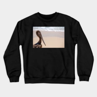 Brown Pelican Crewneck Sweatshirt